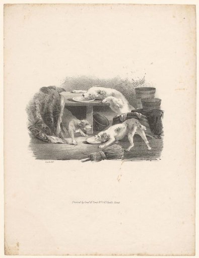 Three dogs licking plates