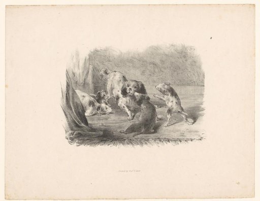 Dog with four puppies