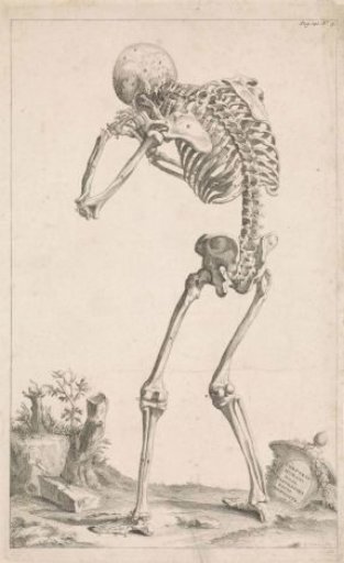 Landscape with a skeleton