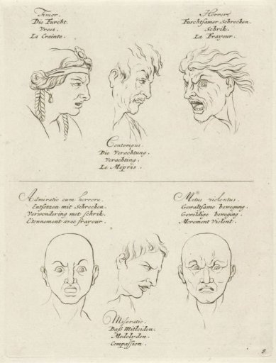 Expressions of Fear, Contempt, Terror, Wonder, Pity and Violent Motion