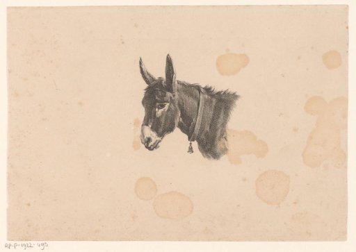 Donkey with a Bell around its Neck