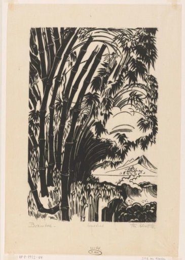 Bamboo