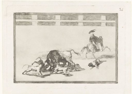 Bull attacked by dogs