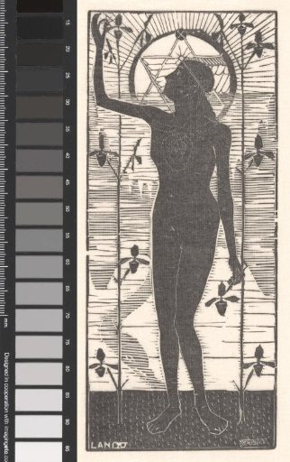 Standing Naked Woman by Plant Stalks