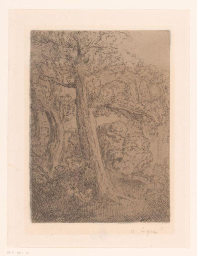 Two trees