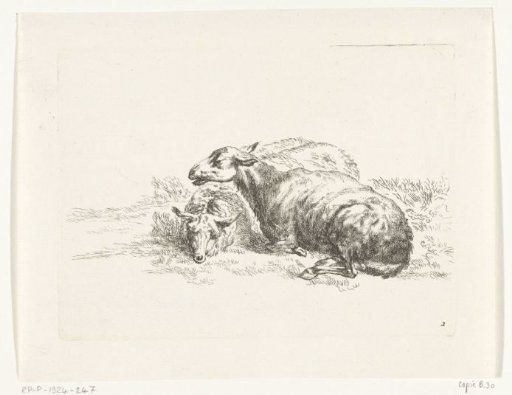 Two Recumbent Sheep