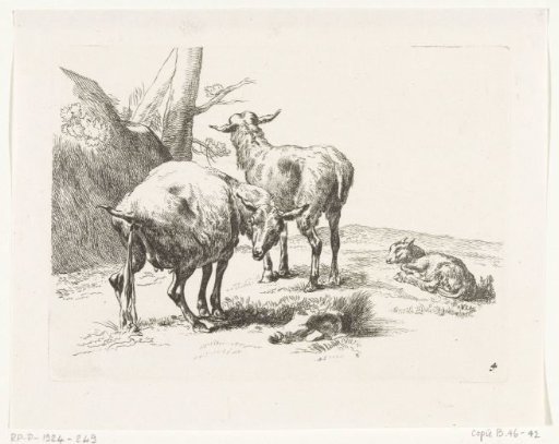 Two Standing Goats and a Young Goat