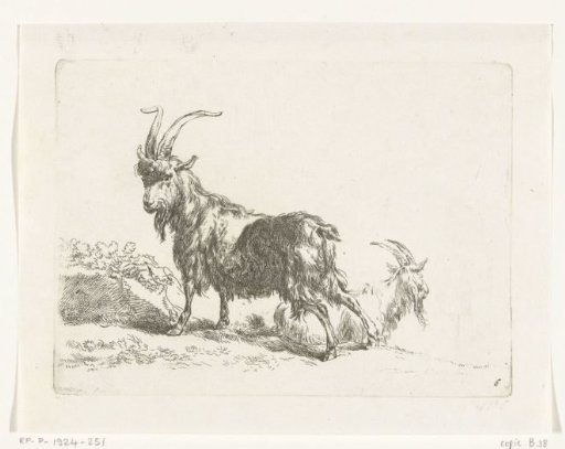 Standing and Recumbent Goat or Ram