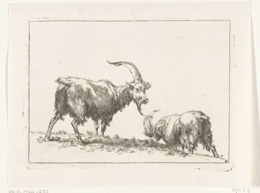 Two Goats or Rams