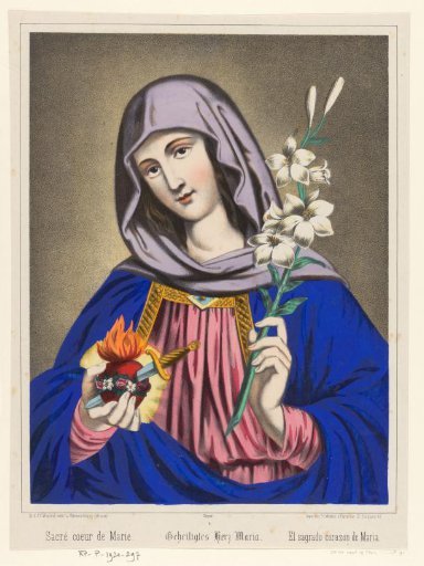 The Immaculate Heart of Mary