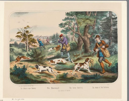 The Hare Hunt