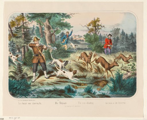 Roe Deer Hunt
