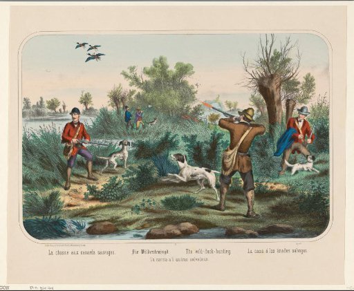 The Duck Hunt