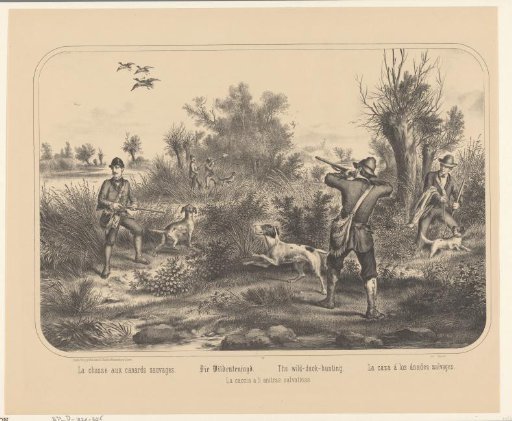 The Duck Hunt