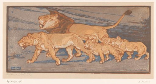 Lion family