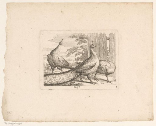 Landscape with three peacocks