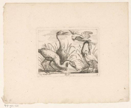 Landscape with four herons