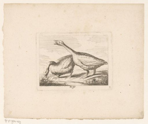 Landscape with two geese