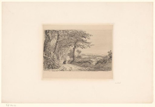 View of a Country Road on the Island of Jersey