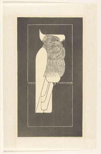 Cockatoo