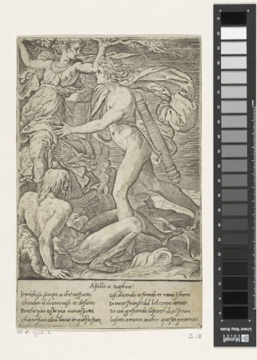 Apollo and Daphne