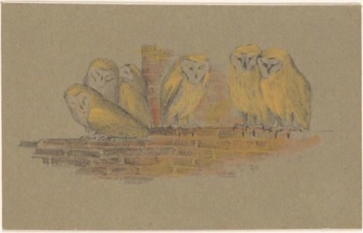 Greeting card with six owls