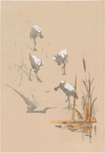 Greeting card with four spoonbills