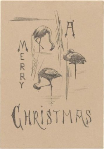 Christmas card with three flamingos