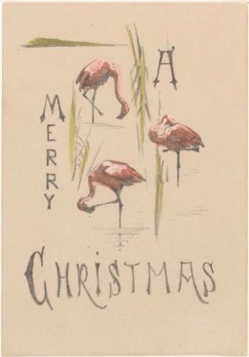 Christmas card with three flamingos