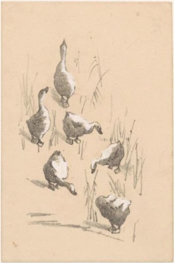 Greeting card with six geese