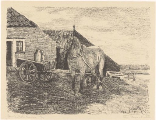 Ameland mare