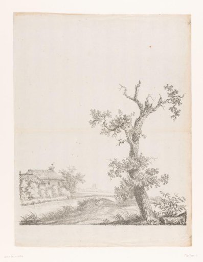 Tree in a landscape