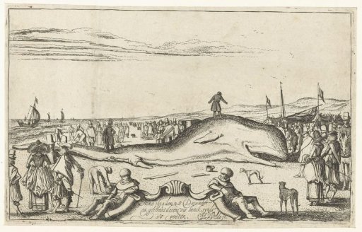 Stranded Whale on the Beach at Noordwijk, 1614