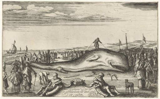 Stranded Sperm Whale on the Beach at Noordwijk, 1614