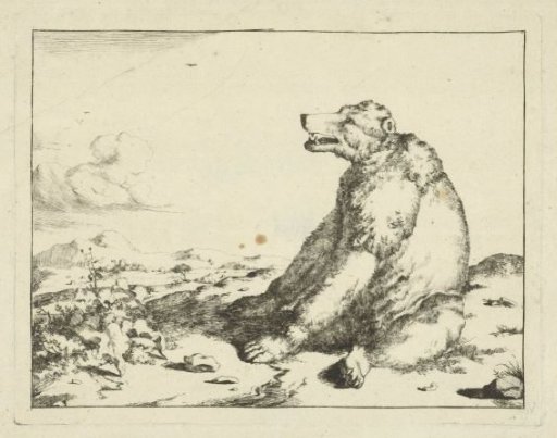 Sitting Bear, and Profile