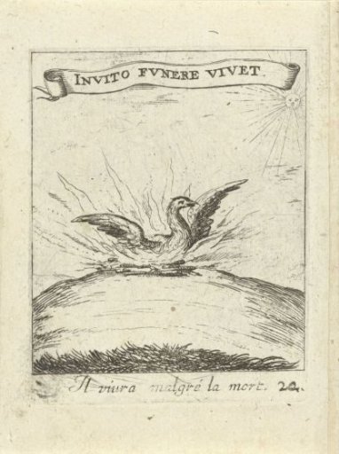 Phoenix