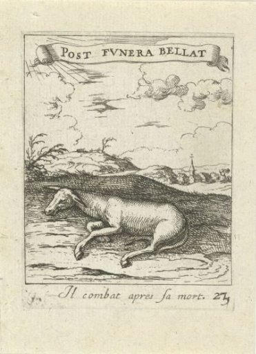 Dead Donkey