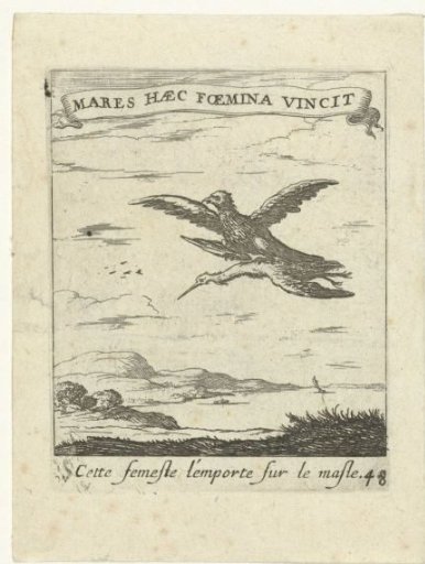 Falcon with Stork