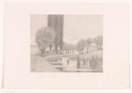 Willows and poplars along a river