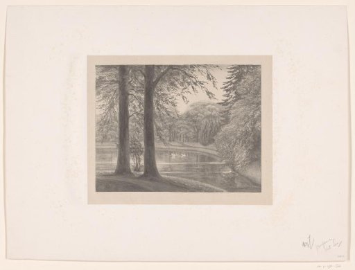 Pond with two swans