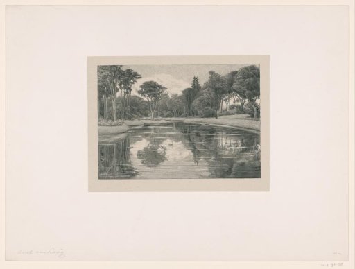 View of a pond with two swans