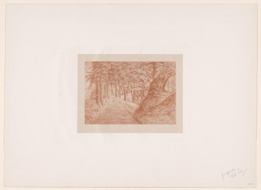 Forest path with a leaping rabbit