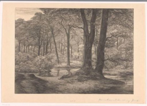 View of the Hunnenschans on the Veluwe