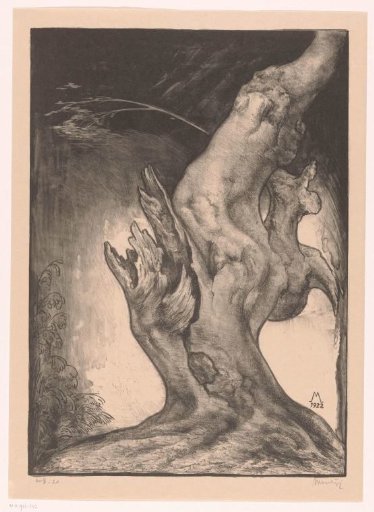 Tree stump