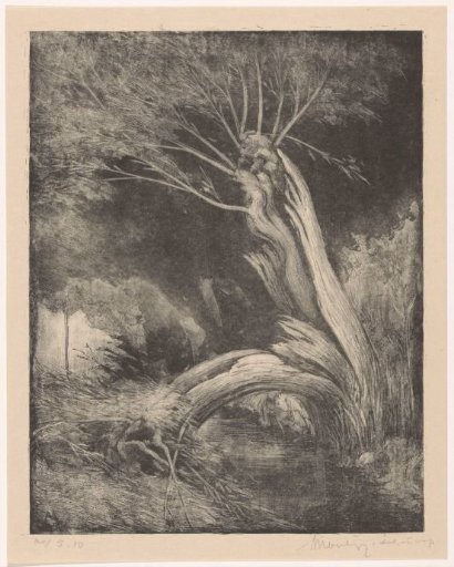Split willow