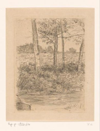 Country road with trees, Bussum