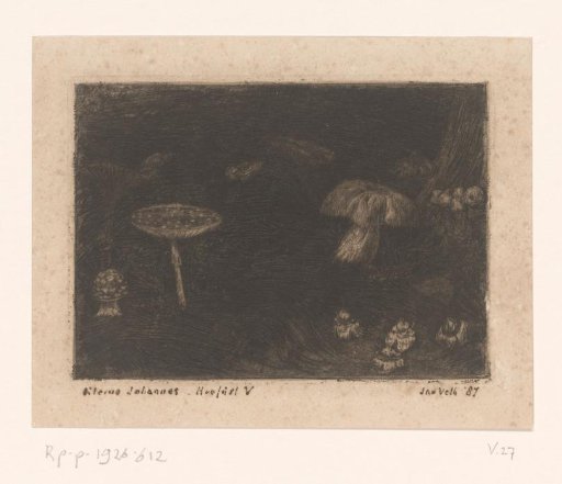 Mushrooms