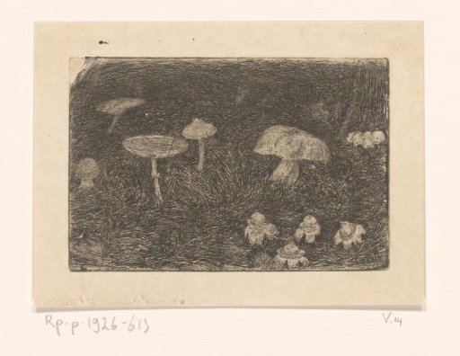 Mushrooms