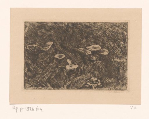 Mushrooms