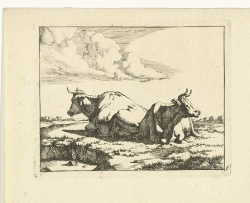 Two lying cows